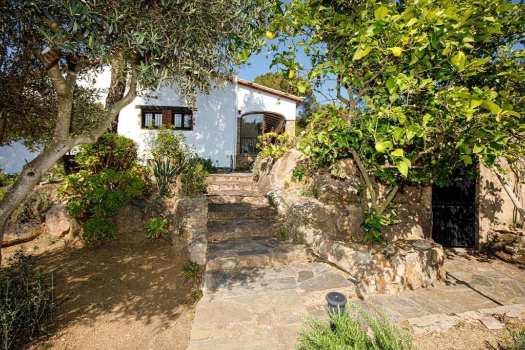 Villa Boheme Costa Brava Калонжа Екстер'єр фото