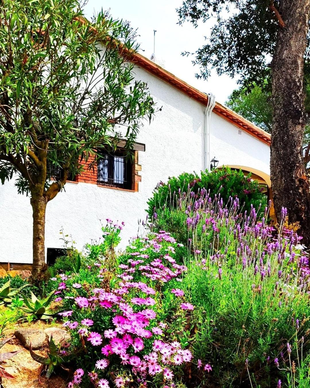 Villa Boheme Costa Brava Калонжа Екстер'єр фото